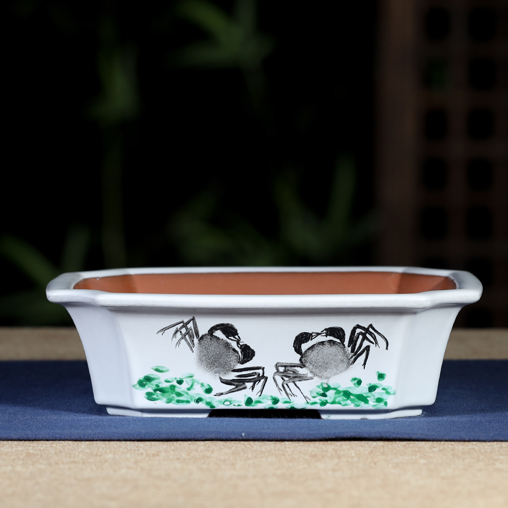 Glazed Bonsai Pots