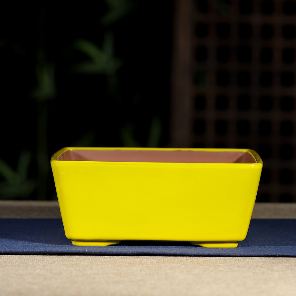 Glazed Bonsai Pots