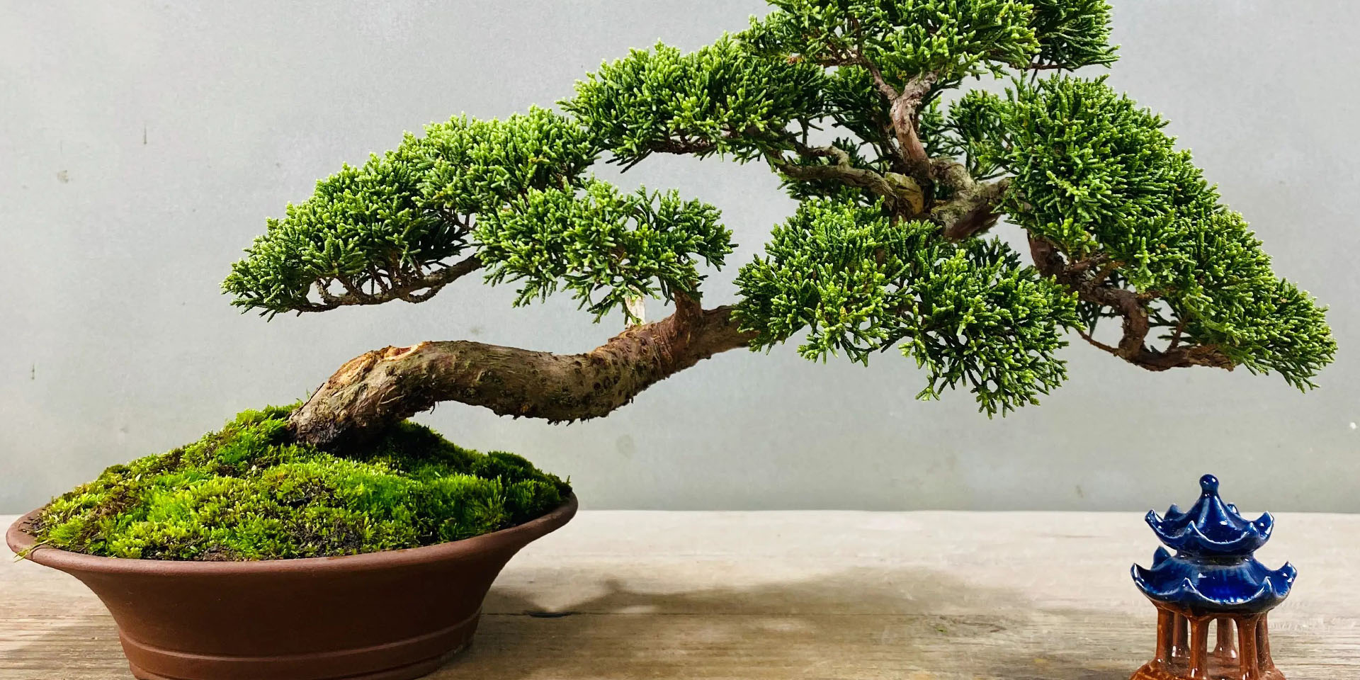 通栏图片